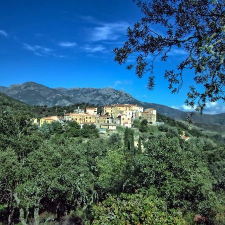 A Ghjuvellina Hotel Piedigriggio Buitenkant foto