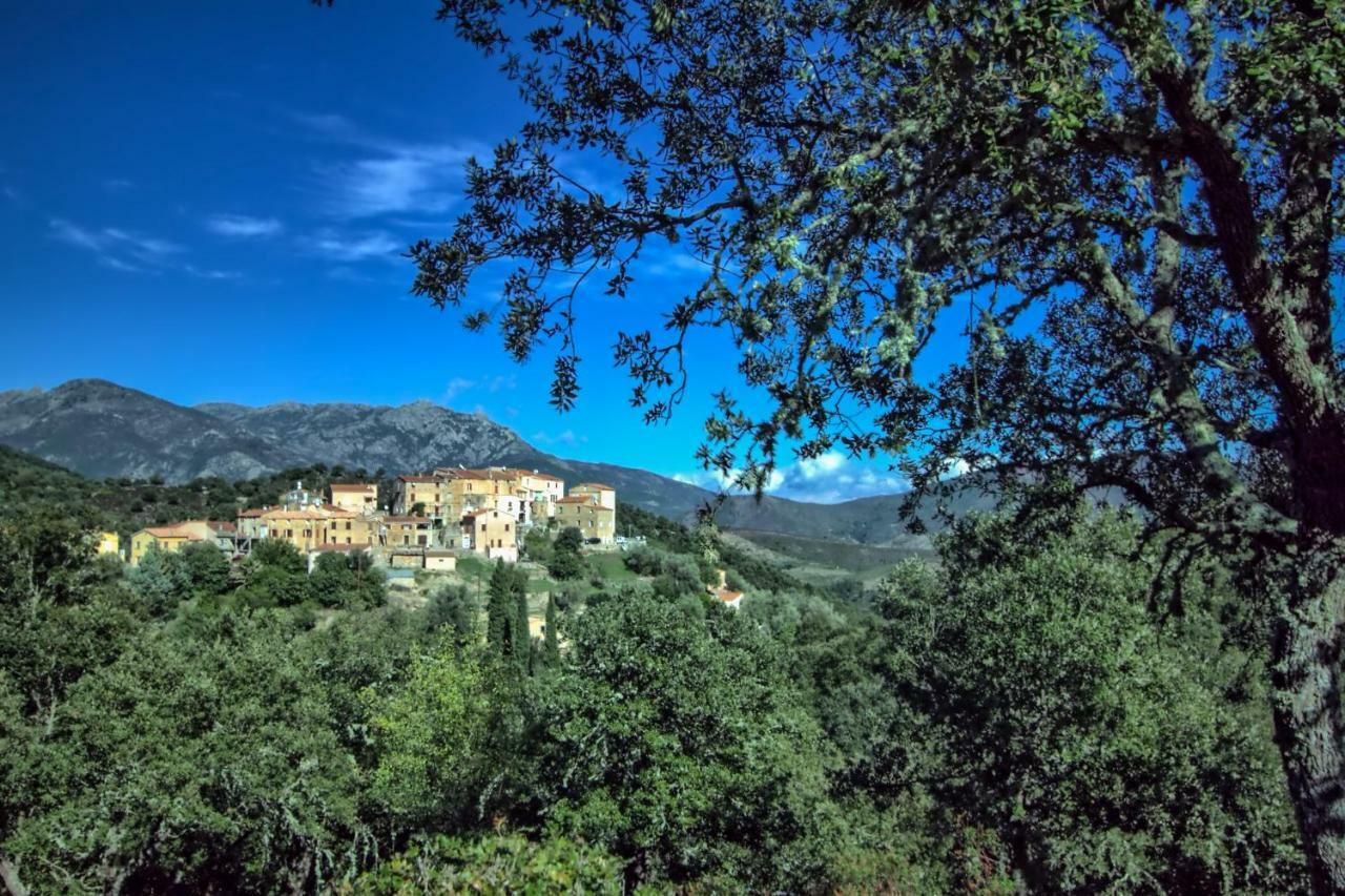 A Ghjuvellina Hotel Piedigriggio Buitenkant foto